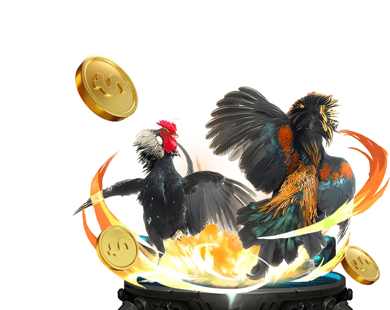 Khuyến mãi cá cược